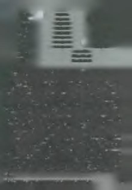 Magyar Gergely 20 03- Varga Kapisztrán 1990-től a képzés a Kapisztrán Szent János R endtartom ányban fo ly t a három magyar nyelvű tartom ány növendékei számára. A z 1934. évi X I. t. c. 2. $. 12.