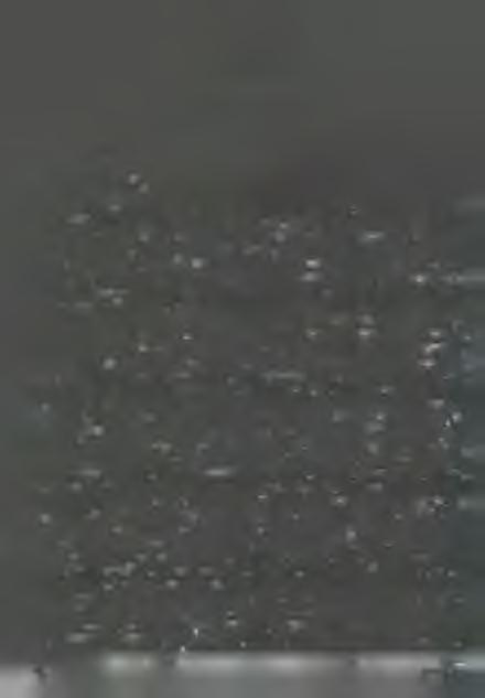 F ü g g e l é k Misszióból írt levelek P. M a g ya r A rn o ld B o lív iá b ó l í r t levele: Kedves M ih á ly atya!