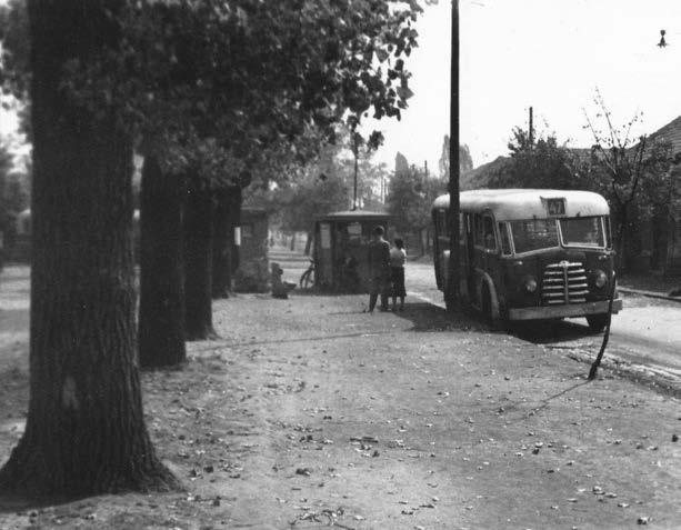 A 47-es busz Kozák (akkor: Madách Imre) téri végállomása valamikor az 1950-es évek második felében. A képet feltehetően egy közelben lakó amatőr fotós készíthette.