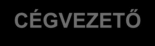 CÉGVEZETŐ 2/EN