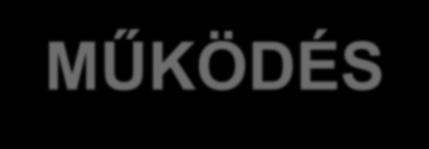 VESZÉLYES