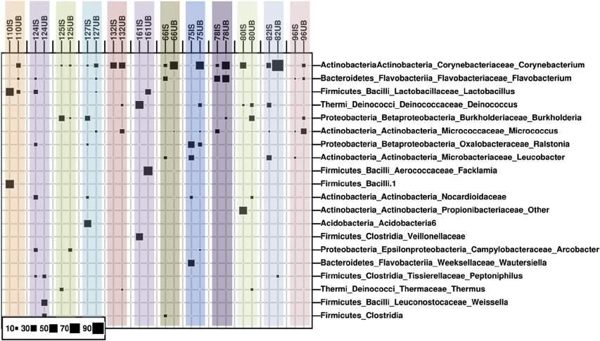 30.e5 Z.F. Kispal et al. Fig. 2 Bubble plot for quantitative representation of the 50 most abundant taxa that differ between not only patients but also IS and UB samples within one patient.