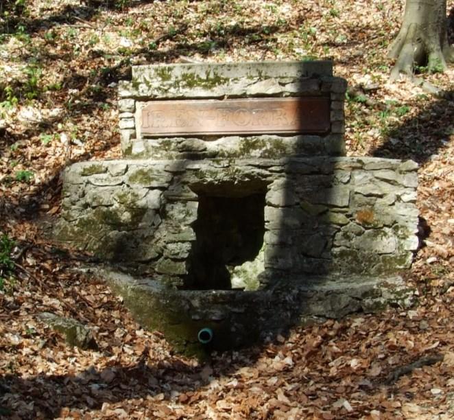 Irén-forrás Vize a kémiai vizsgálatok alapján megfelelő minőségű. A forrás környéke rendezett, a bútorzat ép. Turisták által mérsékelten látogatott. A meder természetes.