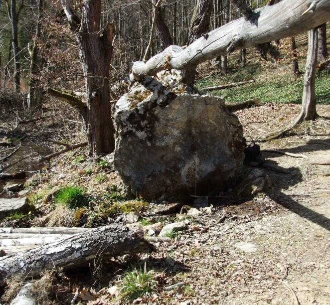 Róka-kút A forrás vize a kémiai vizsgálatok alapján jó minőségű. A forrás környéke rendezett. Turista forgalommal mérsékelten terhelt. Természetes medrében Gammarus és Bythinella fajok találhatók.