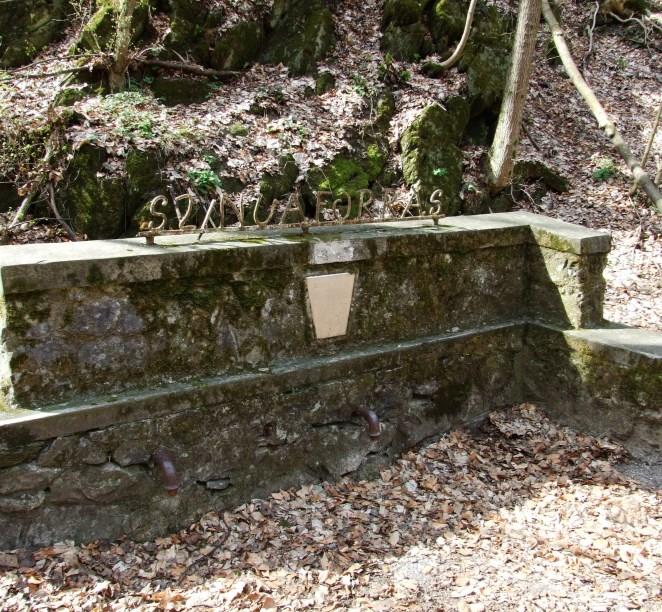 A vízkémiai vizsgálatok alapján vize jó minőségű, de bakteriális szennyezés kimutatható volt benne. Az ivóvízhálózathoz tartozó forrás kezeletlen vizének, kiépített kifolyójáról van szó.