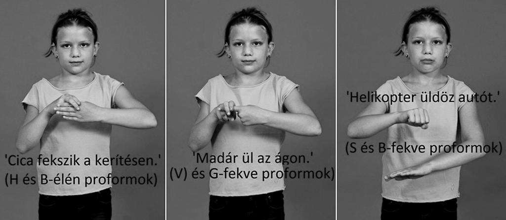 SZABÓ. HLGA 8. ábra: Produktív jelek néhány felhasználási módja indezen megoldások a jelalkotási folyamatokban (vö. ongyi Lancz 1999) a mai napig aktívan jelen vannak.