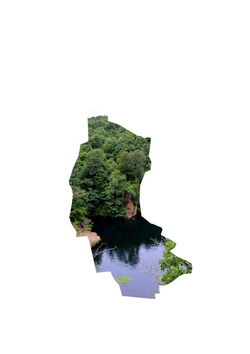 Település