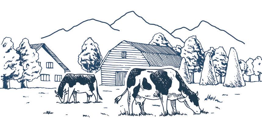 Bakony burger 3200 Ft Kovászos buci, marhahúspogácsa (25 dkg), vargányagomba, házi szósz, kézműves sajt (10 dkg), saláta,