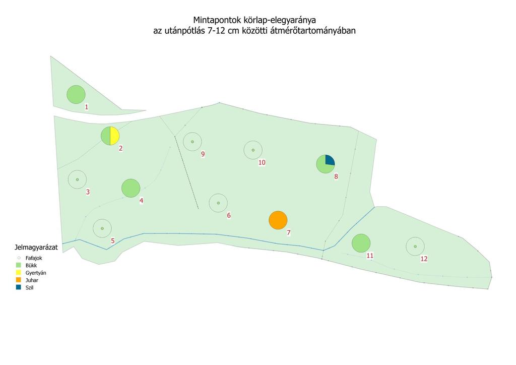 Utánpótlás állomány 7 cm D 1,3 <12 cm közötti