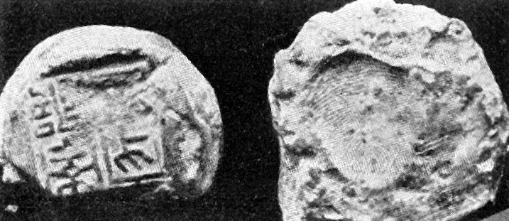 DOI: 10.38146/BSZ.2016.7-8.11 BODNÁR ANNAMÁRIA SZABÓ-NAGY ZSUZSANNA Az ujjnyomok állandósága és változatlansága Ismeri, mint a tenyerét tartja a közmondás.