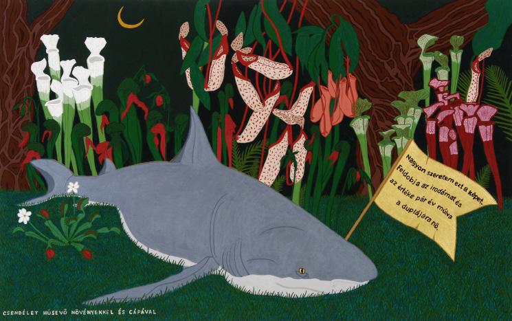 Still life with shark and carnivorous