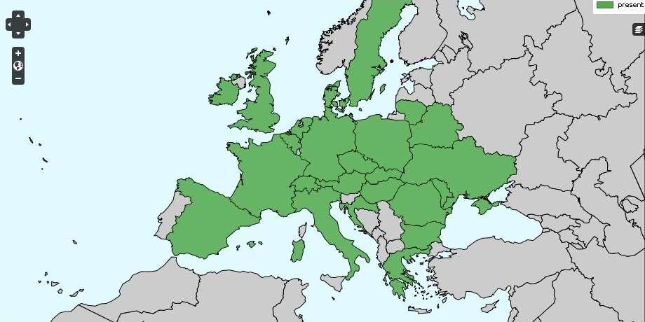 33. ábra - A hasas törpecsiga (Vertigo moulinsiana) európai előfordulása (zölddel a jelenleg ismert elterjedés) (forrás: http://www.faunaeur.