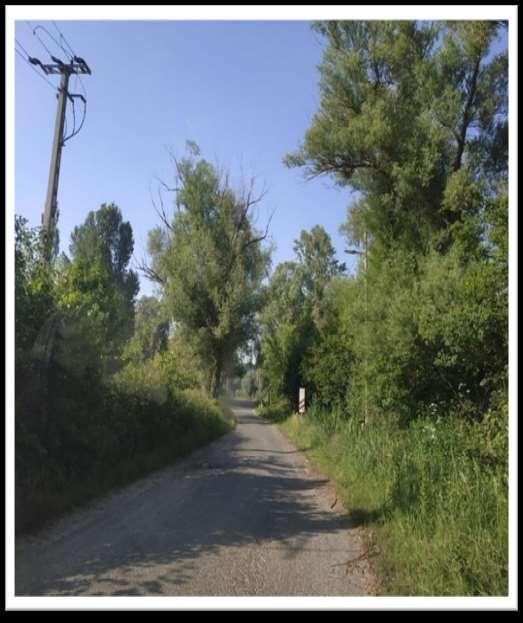 A nyomócsöveket rózsaszínnel jelöltük, míg a Natura 2000 terület (HUBF30002) határát sárga vonallal 3. kép: A tervezett kikötőt a 71.