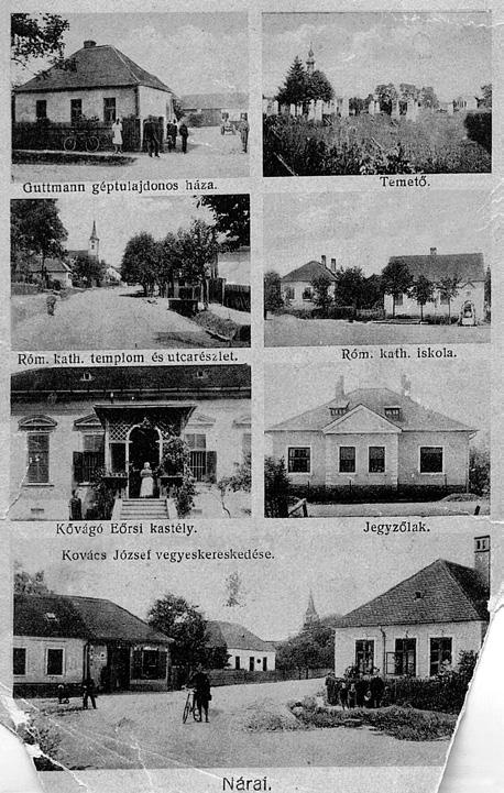 Németh Tamás