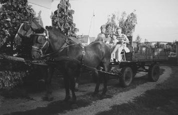Az 1964-es évben a termelőszövetkezet tagja lett az Őrségi Talajjavítási és Vízgazdálkodási Társulatnak, így a komplex talajjavítási munkákat állami hozzájárulással végezheti.