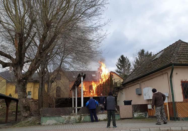 EBÖSSZEÍRÁS EBÖSSZEÍRÁS 10. oldal 11. oldal Égető kérdések FELHÍVÁS Balatonszemes és Balatonőszöd közigazgatási területén Tisztelt Ebtartók! Az állatok védelméről és kíméletéről szóló 1998.