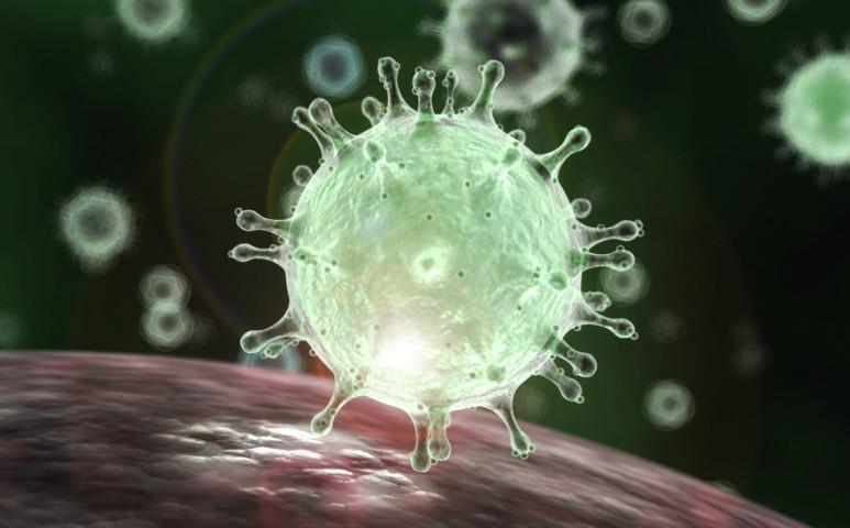 A koronavírus egy nemrég felfedezett vírus, mely nevét az alakjáról kapta.