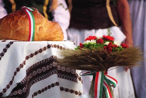 Mindenkinek felhívom a figyelmét saját egyéni felelősségére a járványügyi helyzetre tekintettel, az érvényben lévő szabályok mindenkori betartására! Győriné dr. Czeglédi Márta polgármester 150/2020.