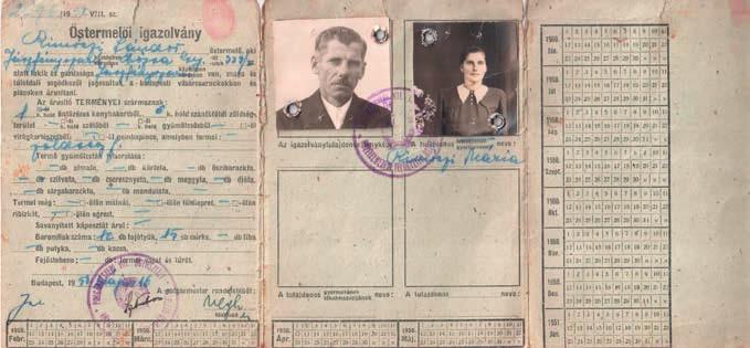 Hivatalos nevét 1951-ben kapta. Meglehetősen furcsa (igaz a városban nem egyedüli eset), hogy a Gólya utca valójában nem csak egy, hanem két szakaszból áll, és mintegy T betű alakot vesz fel.