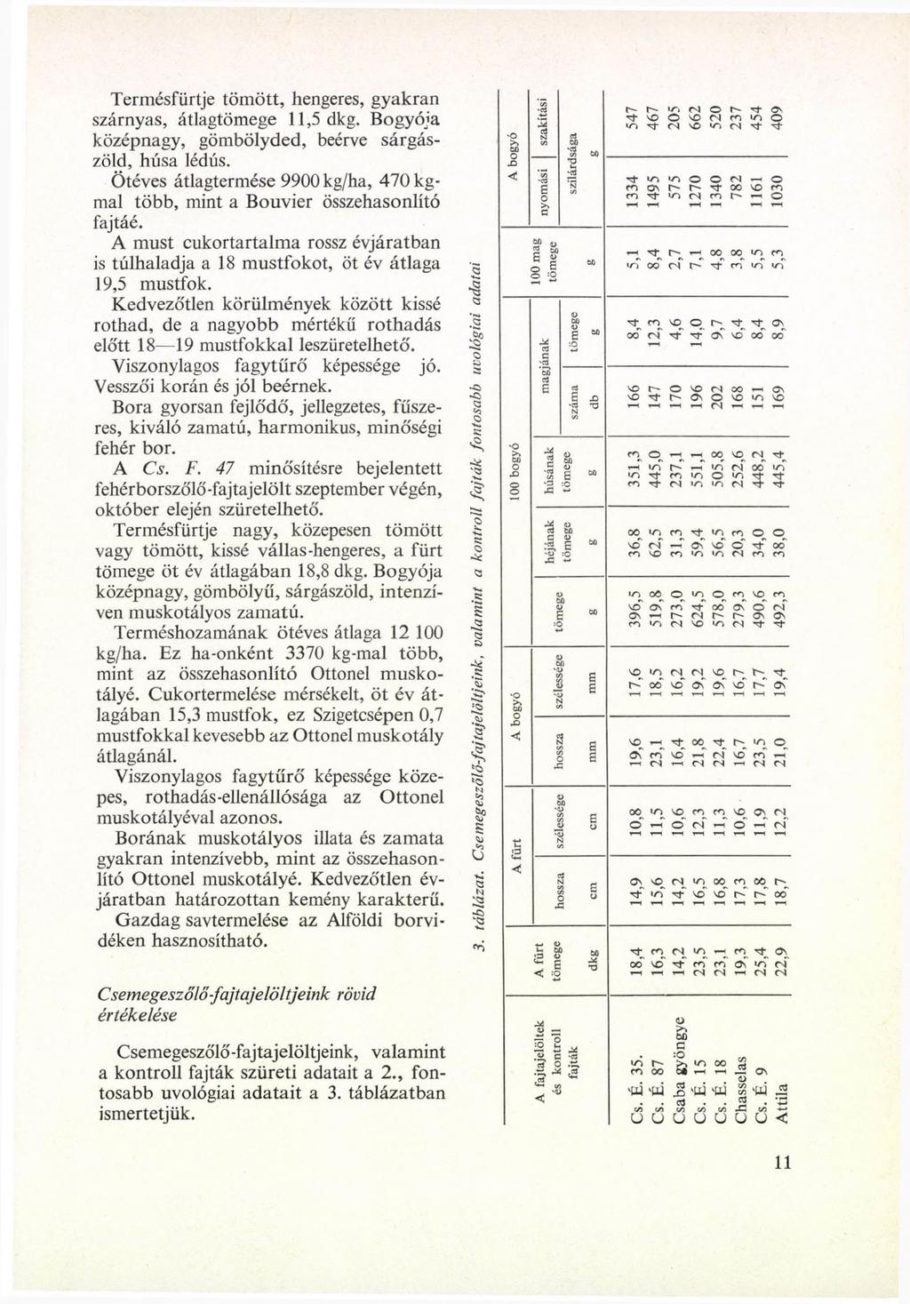 Termésfürtje tömött, heneres, yakran szárnyas, átla 11,5 dk. Byója középnay, ömbölyded, beérve sárászöld, húsa lédús. Ötéves átlatermése 9900 k/ha, 470 kmal több, mint a Buvier összehasnlító fajtáé.