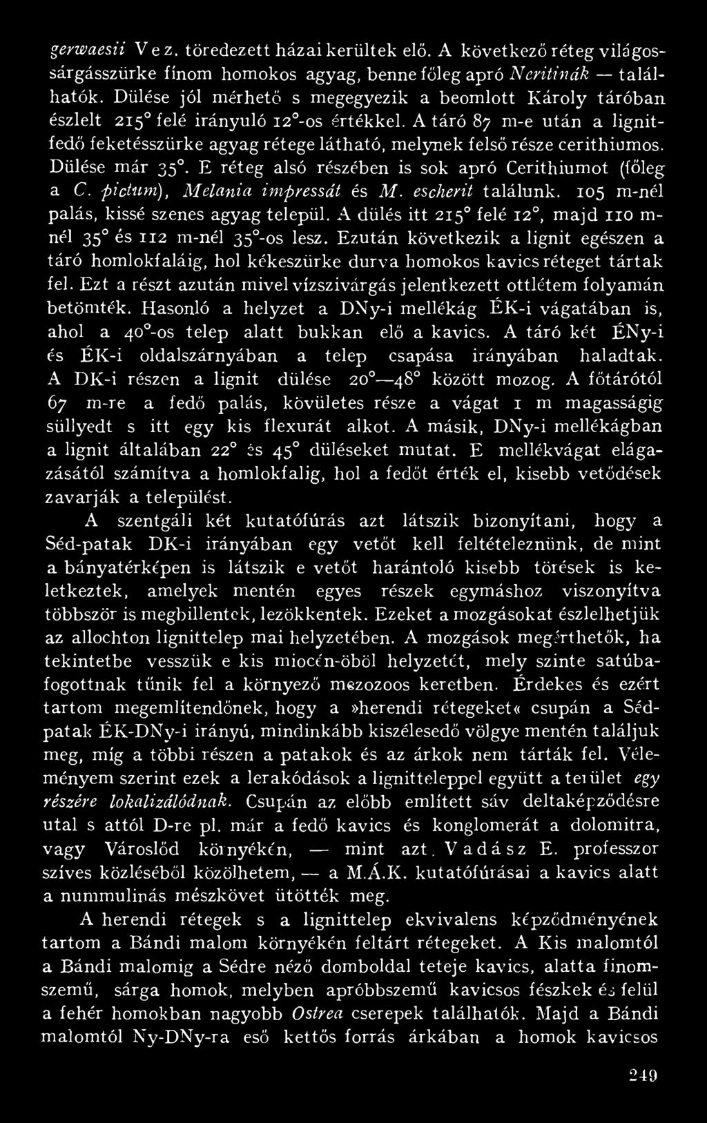 A táró 87 m-e után a lignitfedő feketésszürke agyag rétege látható, melynek felső része cerithiumos. Dülése már 350. E réteg alsó részében is sok apró Cerithiumot (főleg a C.