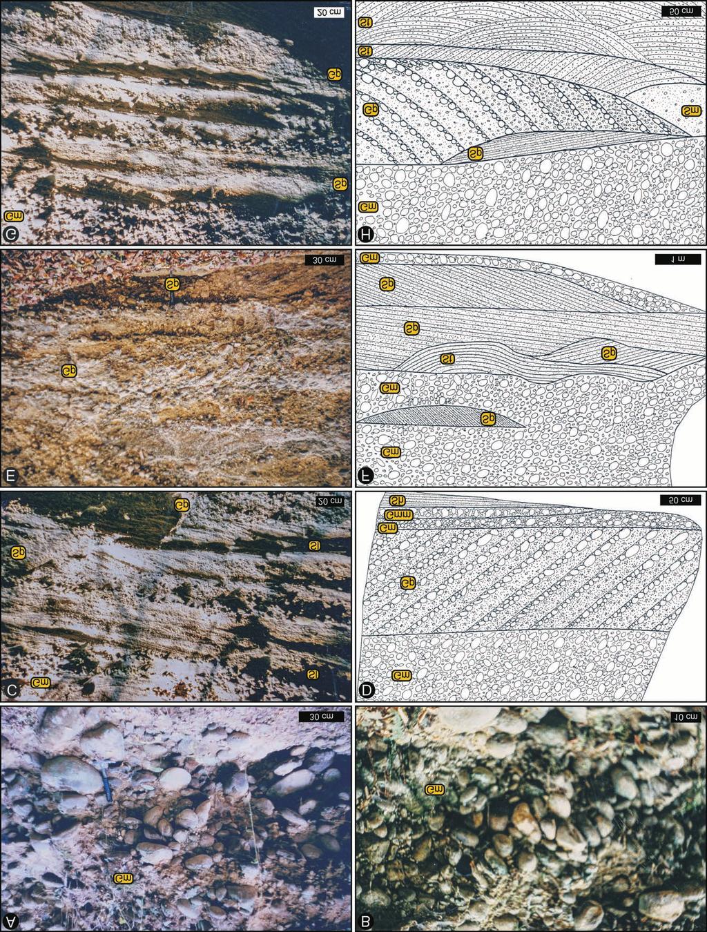 168 BORDY, E. M. & SZTANÓ, O.: Badenian continental paleoenvironment in the Novohrad Nógrád Basin (Central Paratethys) Figure 4. Close-ups of the different facies associations.