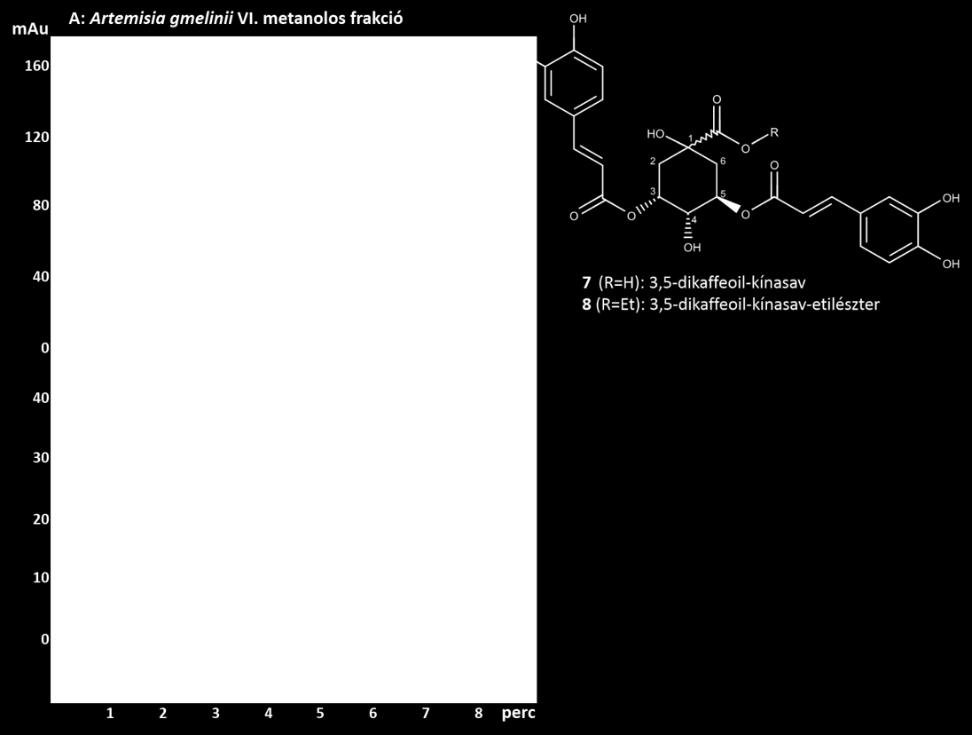 2: klorogénsav, 3: 4-O-kaffeoil-kínasav, 4: szkopoletin, 5: luteolin-7-o-glikozid, 6: apigenin-7-o-glikozid). 10.