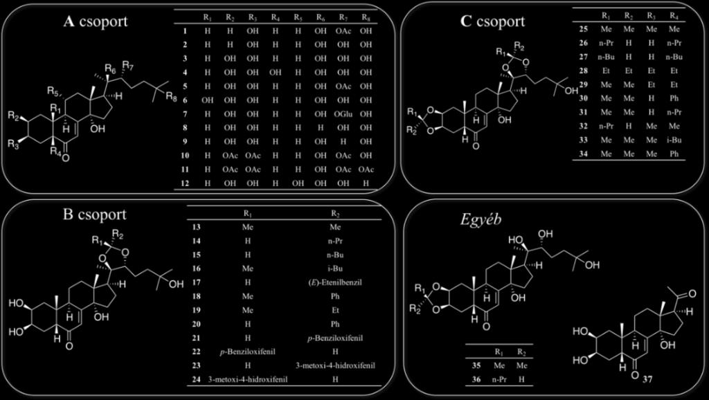 A kapott eredmények alapján két tiramin származékot, az N-metil-tiramint és a hordenint potenciális BBB+ komponensként azonosítottuk.