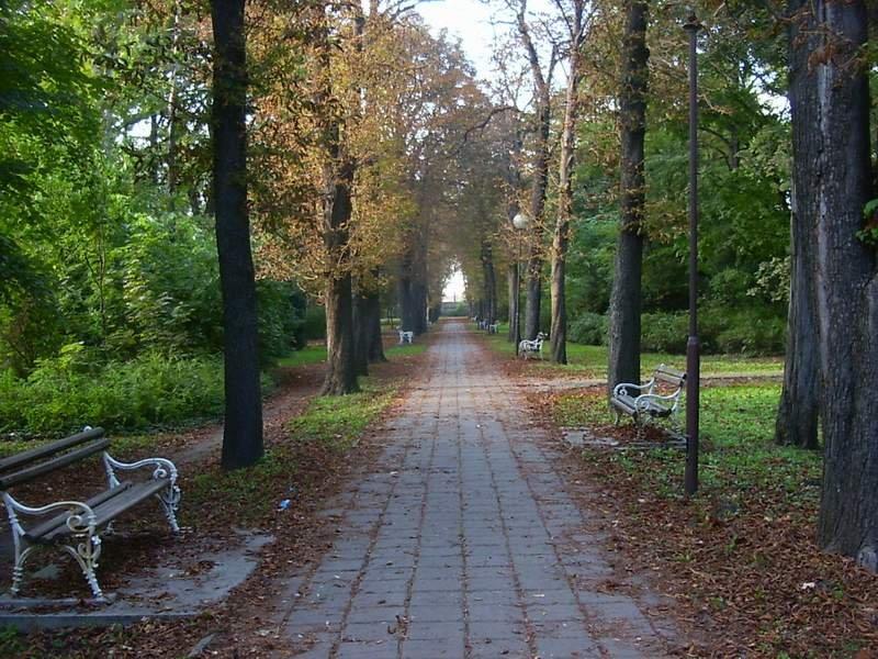 PARK TISZTA