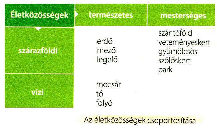 AZ ÉLETKÖZÖSSÉGEK KÜLÖNBÖZŐ MÓDON JÖHETNEK LÉTRE.