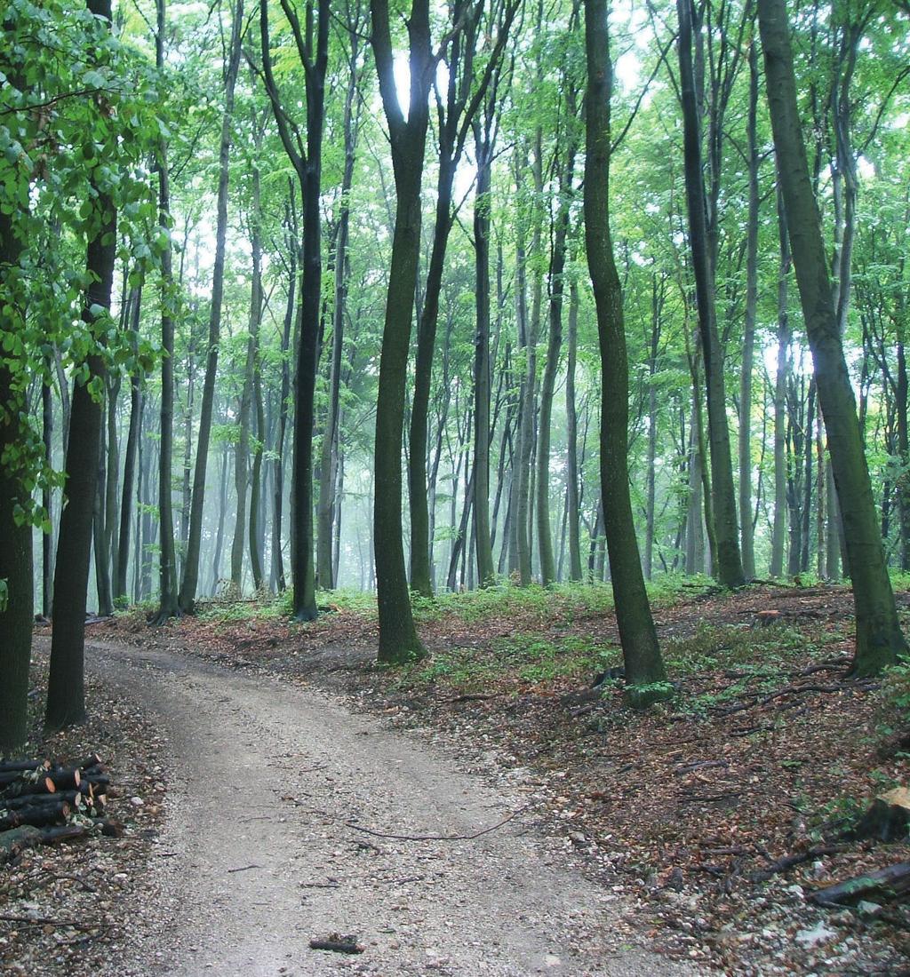 Kerkaszentkirály, Petőfi S. u. 1.