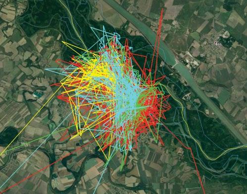 range of the tagged male European Honey Buzzard Lipót at the wintering grounds (Camerun, 2015 2018) 22 km 2.5 km 6.