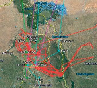 A legújabb technológiai fejlesztéseknek köszönhetően (Internet of Wildlife) egészen kis méretű jeladók jeleit nagyobb adók veszik és továbbítják telekommunikációs hálózatokon át.