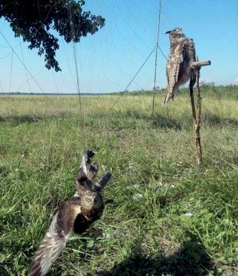 a működési időtartamot (24 órában vagy a beállított reggeli és esti időpont között).