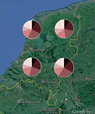 % átmeneti / intermediate átmeneti világos / light intermediate 3. 4. 4693 megfigyelés, Hollandia 337 fogott példány, Magyarország világos / light Nagyon világos / very light 3.
