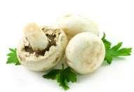 Oldal: 46 /115 csiperke gomba laska gomba shiitake gomba Vadon termő gombák: Ehető: nagy őzlábgomba, vargánya,