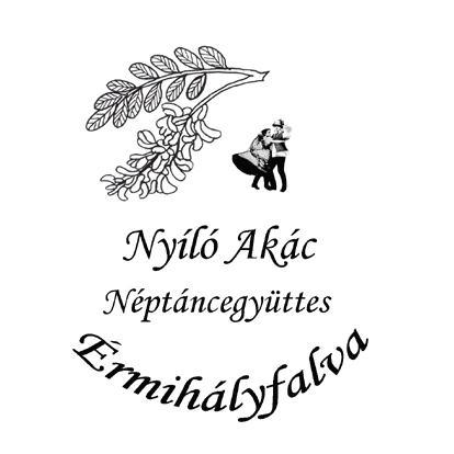 Az együttes tagjai közül voltak, akik csak belekóstoltak a táncokba, de a legtöbben tagok maradtak és maradnak.