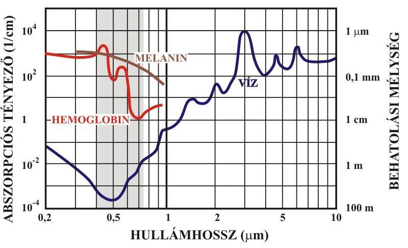 behatás ideje és módja. Mivel az emberi szövetek vízartalma közel 70%, a víz és egyéb esszenciális szöveti alkotóelem (pl. hemoglobin, bilirubin, melanin, keratin stb.