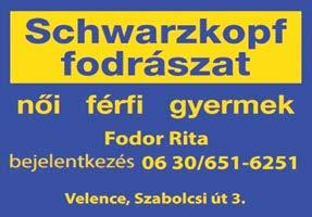 ösztöndíjpályázat, gyermekétkeztetési támogatás, kifüggesztések) Kovács Dóra, igazgatási ügyintéző, 589 425 (kereskedelmi igazgatás, fizetővendéglátás, talált tárgyak) Pécsi Viktor,