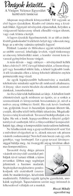 tóparton sétálva, a jó levegőn töltené az egész napját. Az idős emberek társasága számomra ezt a lélekmelegítő érzést jelenti.
