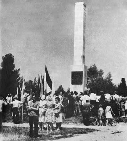 Sándor-zászlóaljban, majd a Petőfi-brigádban harcoltak.