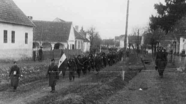 A támadásra számítani lehetett, csak az időpont és a pontos hely volt a kérdéses. Ezért a III. Jugoszláv Hadsereg a Drávától északra foglalta el állásait. A 12. hadtest (kb.