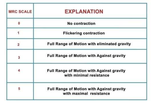 Manual muscle test