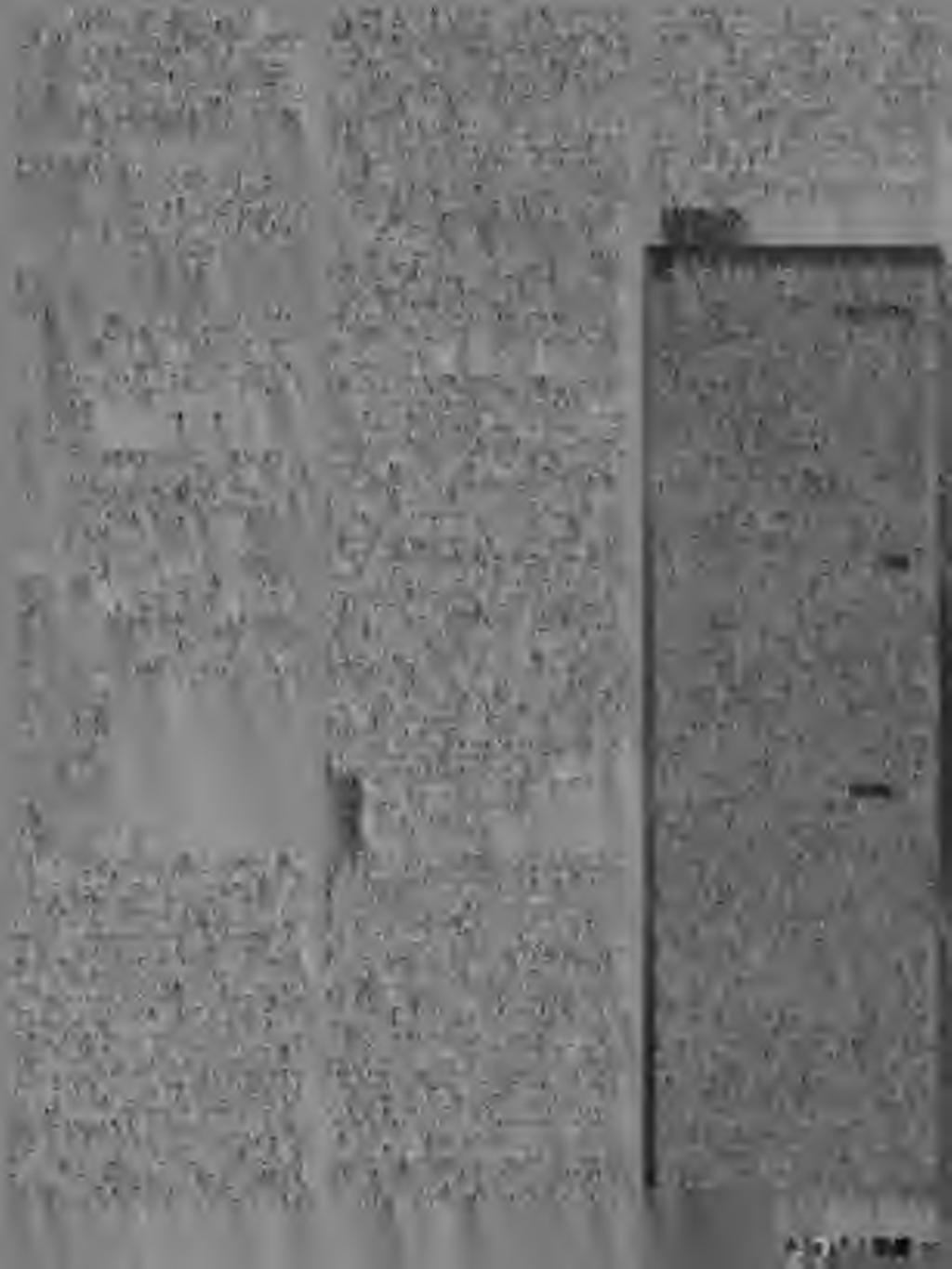 OLD08HINTADD DD 0 Ide nyomtuk még jórégen az eredeti 08h vektor címét. ENDTIMINGFUNC MOV AL.