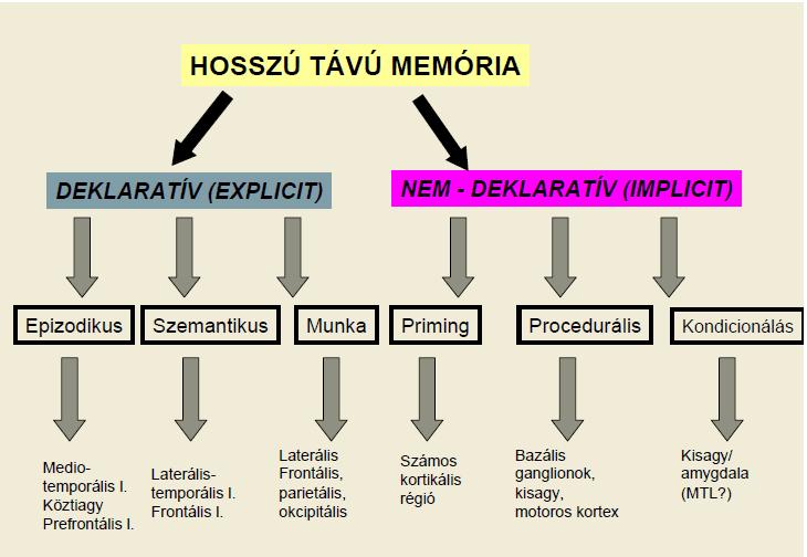 Memória 1.