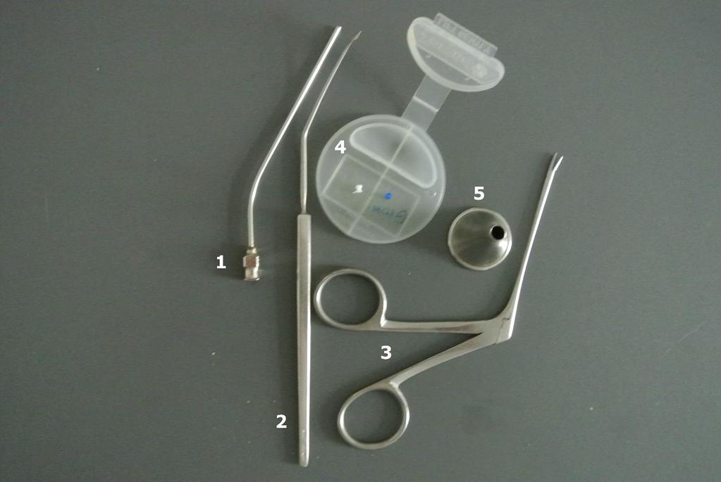 fülbe, sőt akár az agytörzsre is. Ennek egyik képviselője a cochleáris implant. Részleteket lásd a szerző megjelenése alatt álló könyvében.