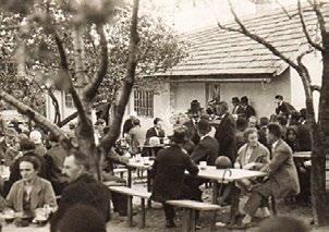 Egy nagy, tapadásmentes serpenyőben, forró olajban, közepes- magas hőfokon süssük a csirkét 12-14 percig, vagy amíg megpuhul, és már nem rózsaszínű.