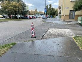Összegyűjtötték az eldobált szemetet, fertőtlenítették a padokat, felszámolták az illegális hulladéklerakatokat, és elszállítottak 250 köbméter illegálisan kihelyezett zöldhulladékot.