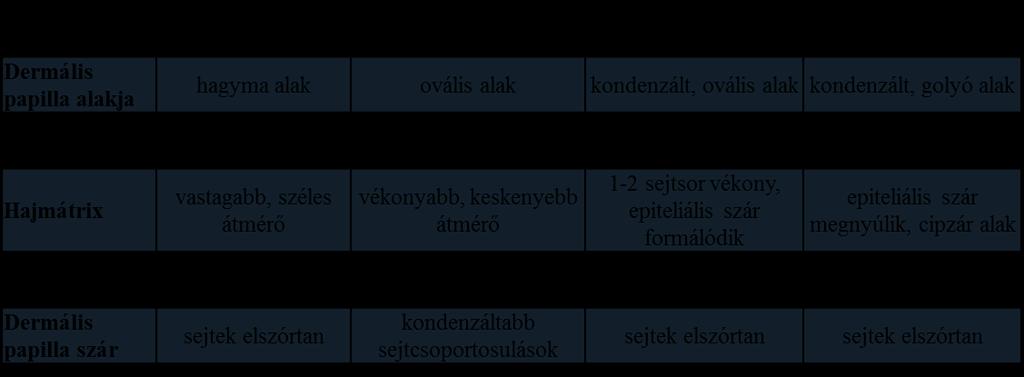 belül megszámoltuk a sejtmagokat. Hisztomorfometriai analízis A HF-ket fagyasztva metszést, majd HE festést követően az irodalomban jól körülhatárolt (Kloepper és mtsai.