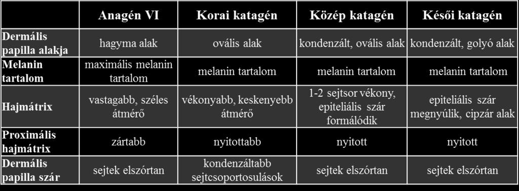 Mindezek alapján az alábbi csoportokat különítettük el: anagén, korai- közép- és késői katagén, majd a csoportok százalékos összetételét ábrázoltuk. 10.